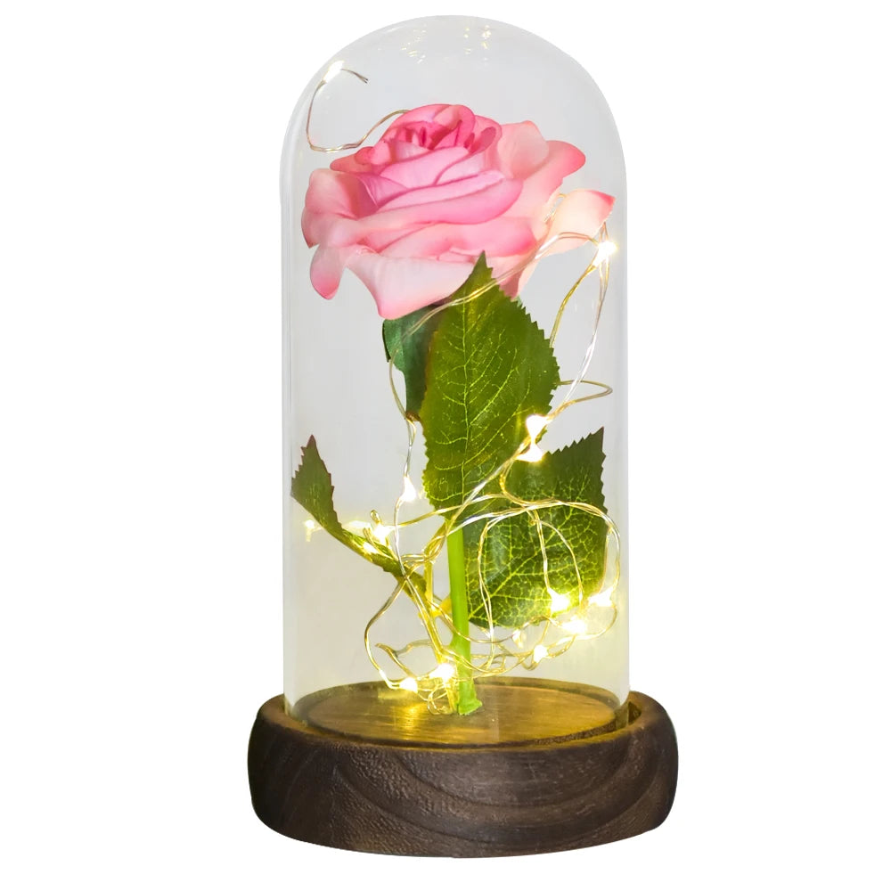 Gifts for Her Beauty and the Beast Eternal Rose in Glass Dome Artificial Forever Flower LED Light Mothers Day Gifts for Women