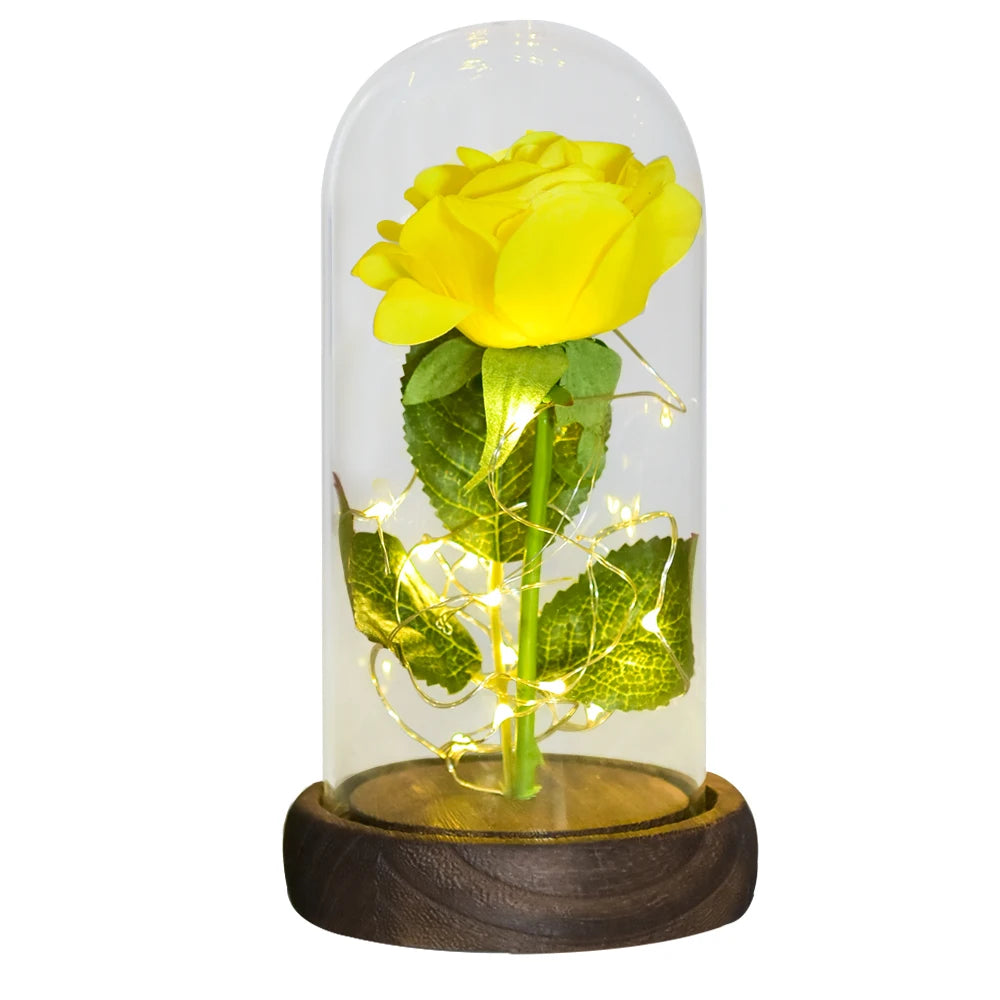 Gifts for Her Beauty and the Beast Eternal Rose in Glass Dome Artificial Forever Flower LED Light Mothers Day Gifts for Women